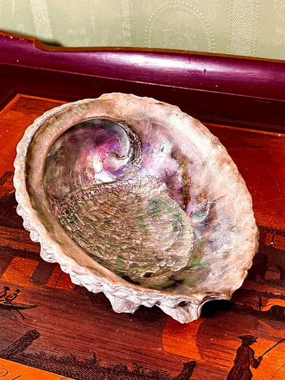 Iridescent Natural Shell Decorative Dish Approx. 6.5 Inch