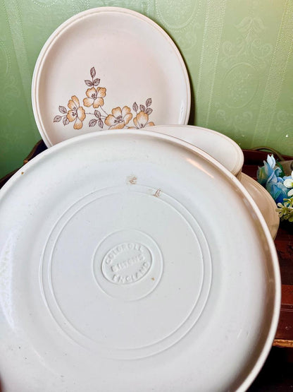 English Floral Dinner Plates & Bowls 8-Piece Set