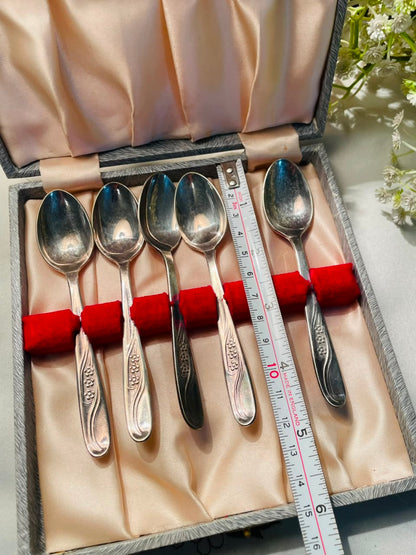 Silver-Tone Dessert Spoons – 5 Piece Boxed Set