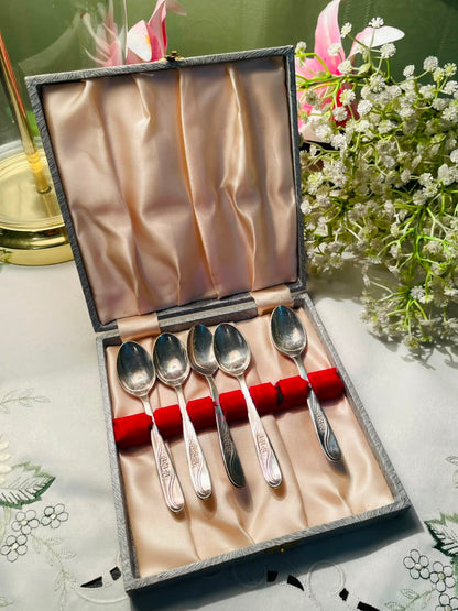 Silver-Tone Dessert Spoons – 5 Piece Boxed Set
