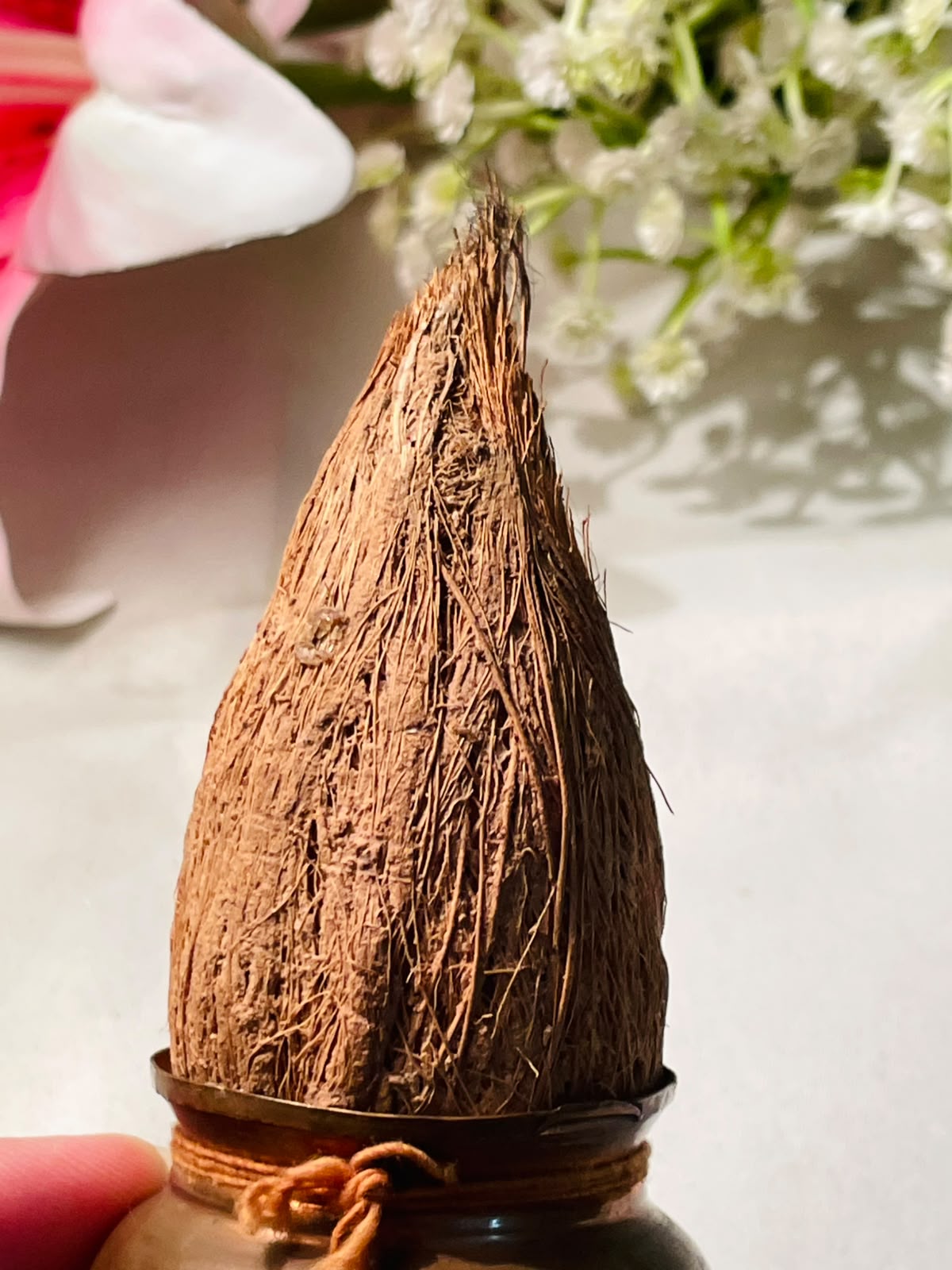 Brass-Tone Coconut Decorative Ornament – 5 Inch