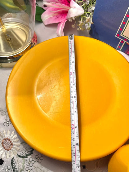 Vintage Yellow 16-Piece Picnic Dinner Set with Mugs