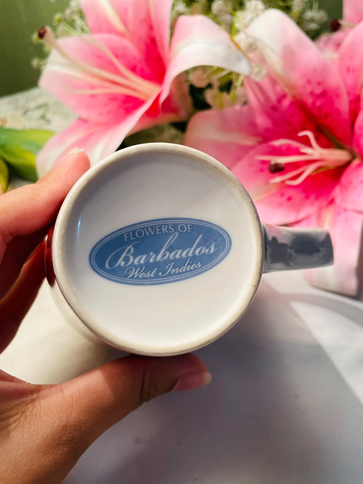 Barbados tropical Hibiscus Floral Ceramic Mug 10 cm