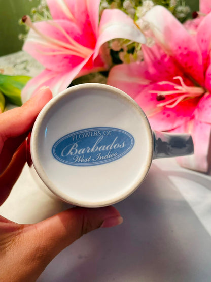 Barbados tropical Hibiscus Floral Ceramic Mug 10 cm