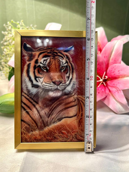 Tiger Framed Picture Gold-Tone Frame Approx. 15 cm