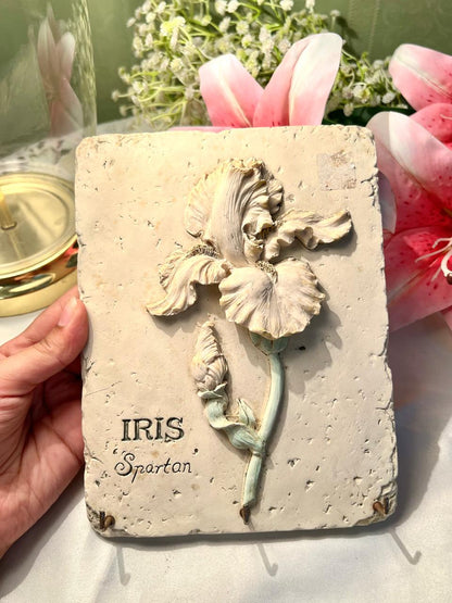 Iris Spartan Floral Wall Plaque with Hooks Approx. 20 cm