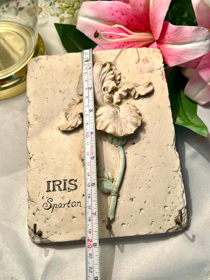 Iris Spartan Floral Wall Plaque with Hooks Approx. 20 cm