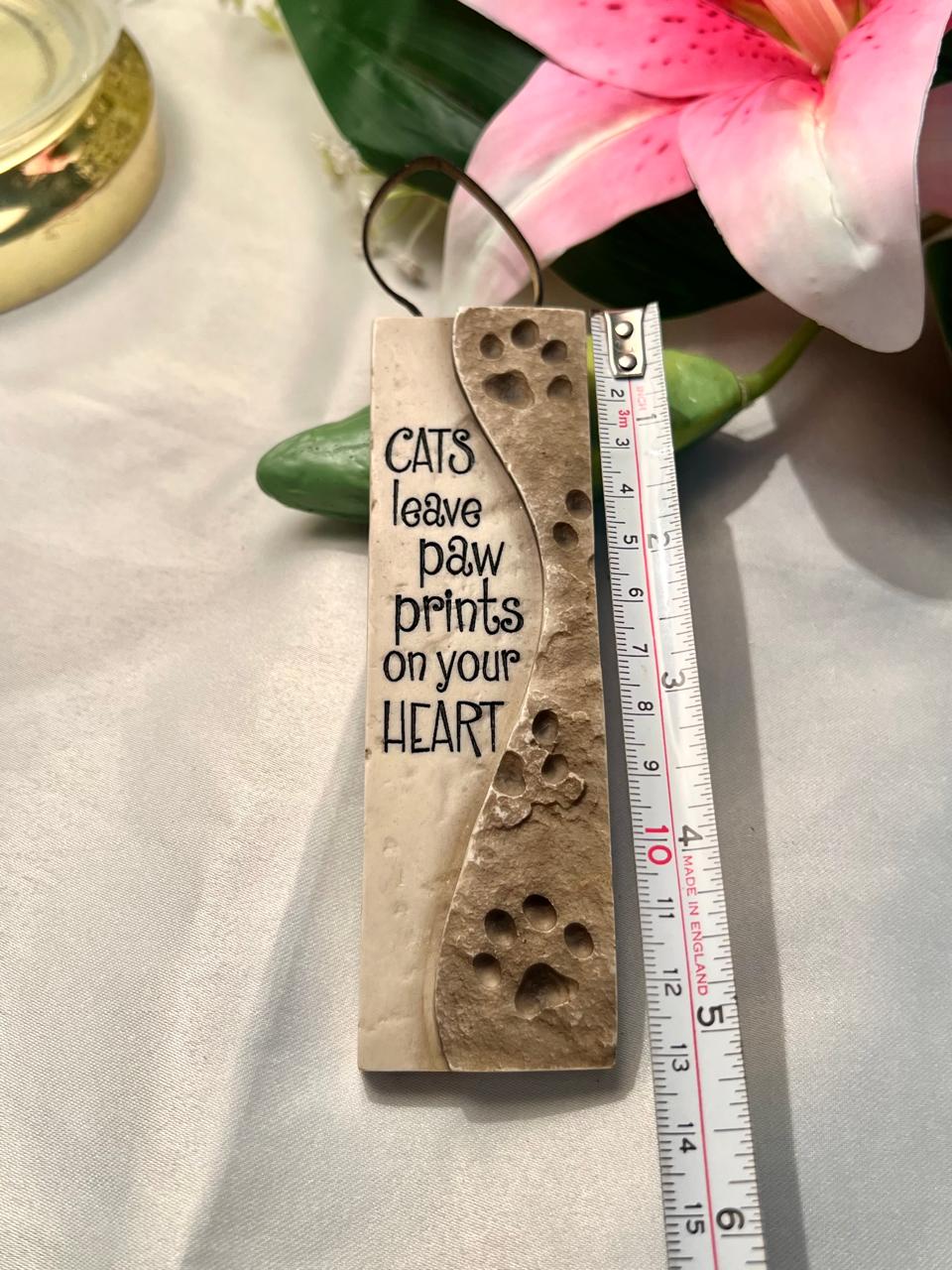 Cat Paw Prints Wall Plaque Beige 13cm Home Decor