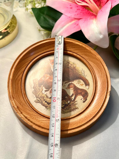 Squirrel Framed Print Round Wood Frame 14cm Wildlife Decor