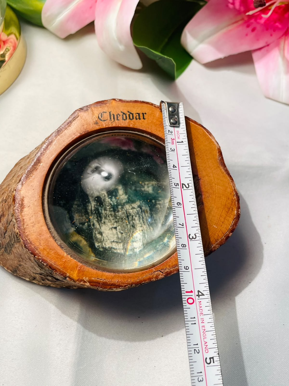 Cheddar Owl Souvenir Paperweight in Natural Wood 10 cm