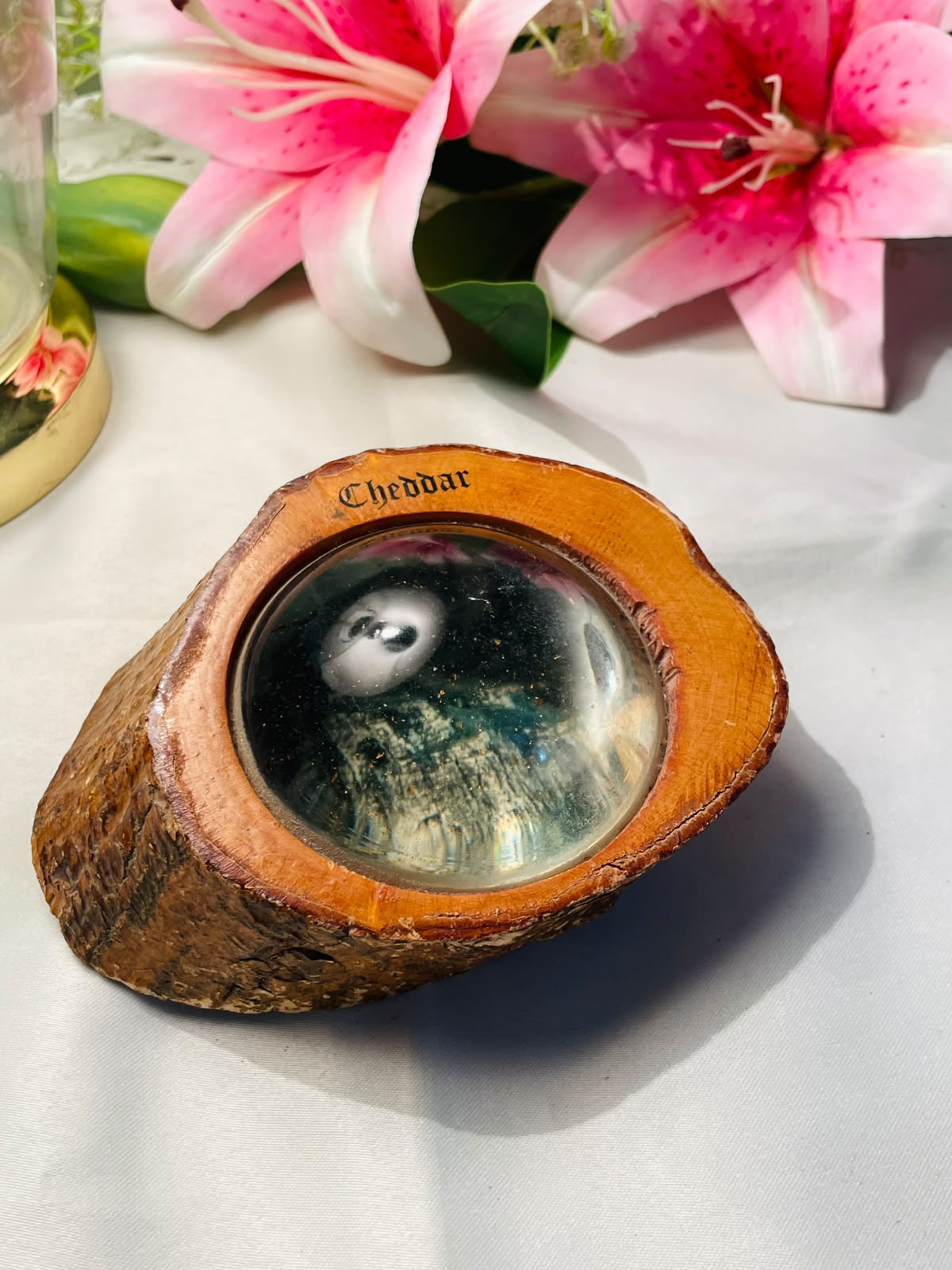 Cheddar Owl Souvenir Paperweight in Natural Wood 10 cm