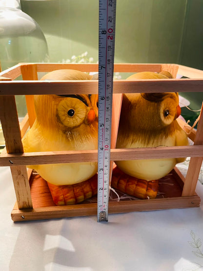 Pair of Owl Figurines with Wooden Display Crate Approx. 9 Inch Set