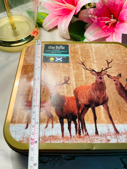 Scottish Stag Woodland Metal Storage Tin 8 in