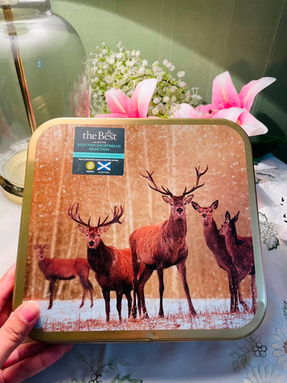 Scottish Stag Woodland Metal Storage Tin 8 in