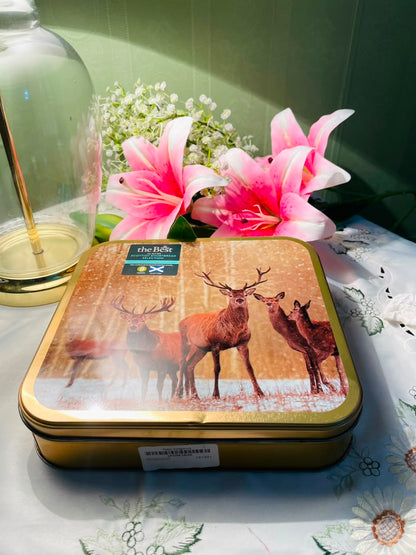 Scottish Stag Woodland Metal Storage Tin 8 in