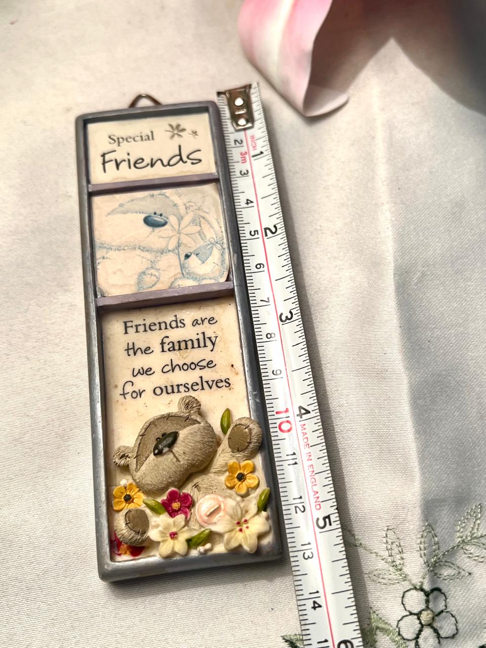 Special Friends Floral Bear Wall Plaque 13cm