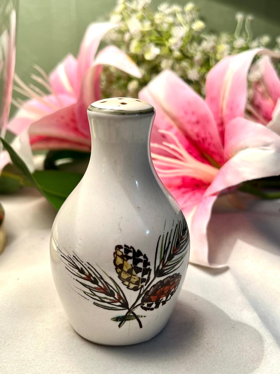Cream Ceramic Pinecone Seasoning Shaker 10 cm