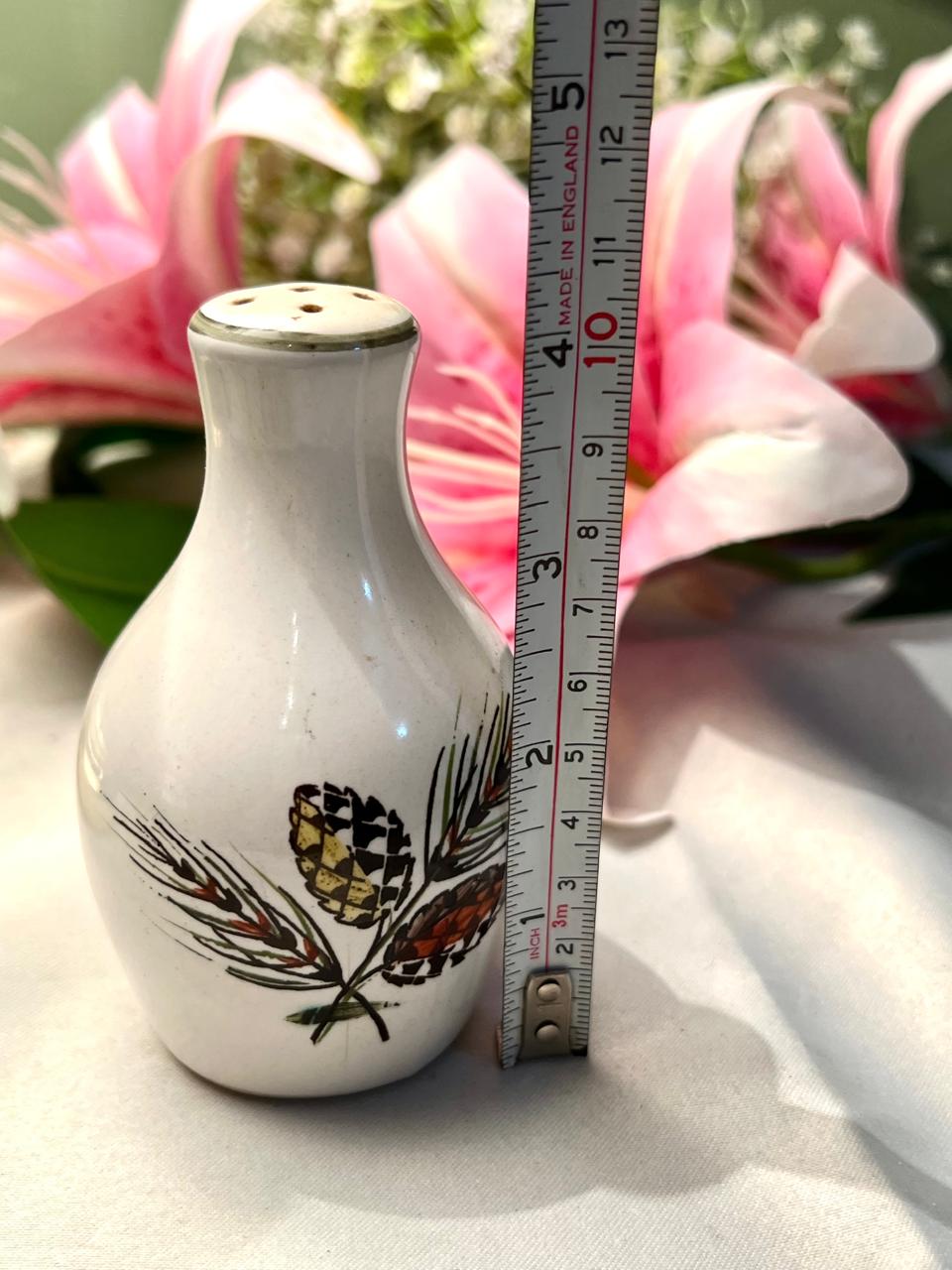 Cream Ceramic Pinecone Seasoning Shaker 10 cm