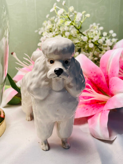 White & Grey Ceramic Poodle Figurine, 15 cm
