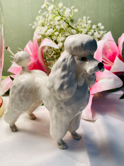 White & Grey Ceramic Poodle Figurine, 15 cm