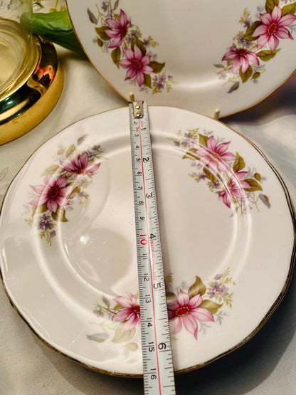 Royal Regent Pink Floral Fine Bone China Plates Set of 6 16cm