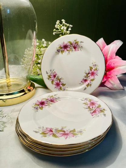 Royal Regent Pink Floral Fine Bone China Plates Set of 6 16cm