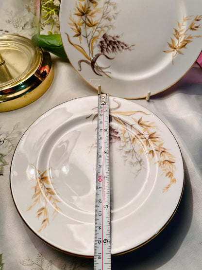 British Fine Bone China Botanical Plates Set of 6 16cm