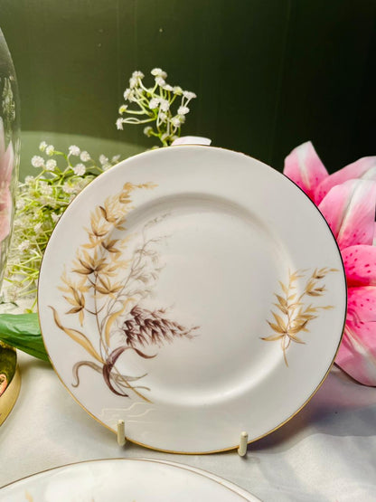 British Fine Bone China Botanical Plates Set of 6 16cm