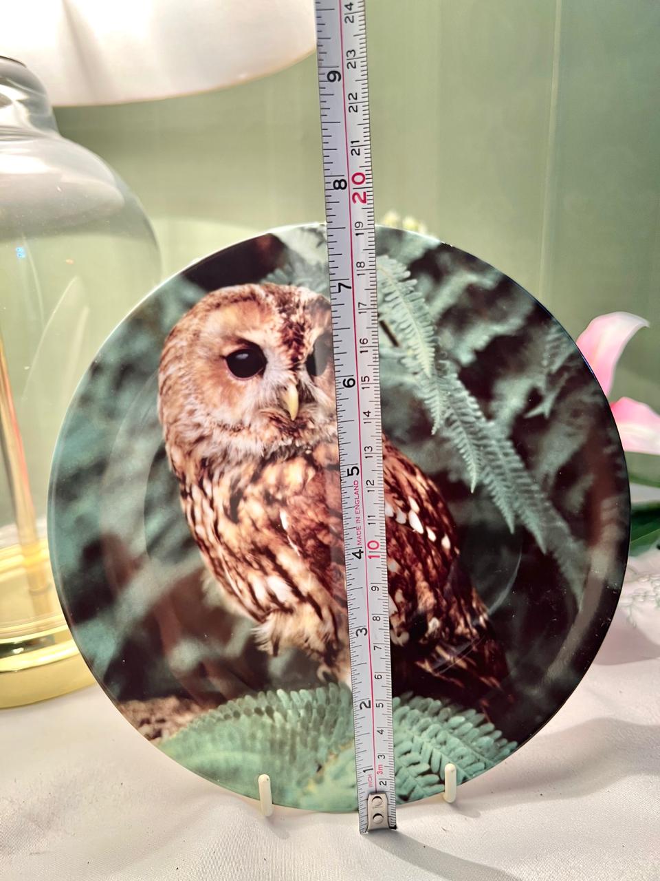Wedgwood The Night Caller Owl Decorative Plate 19cm