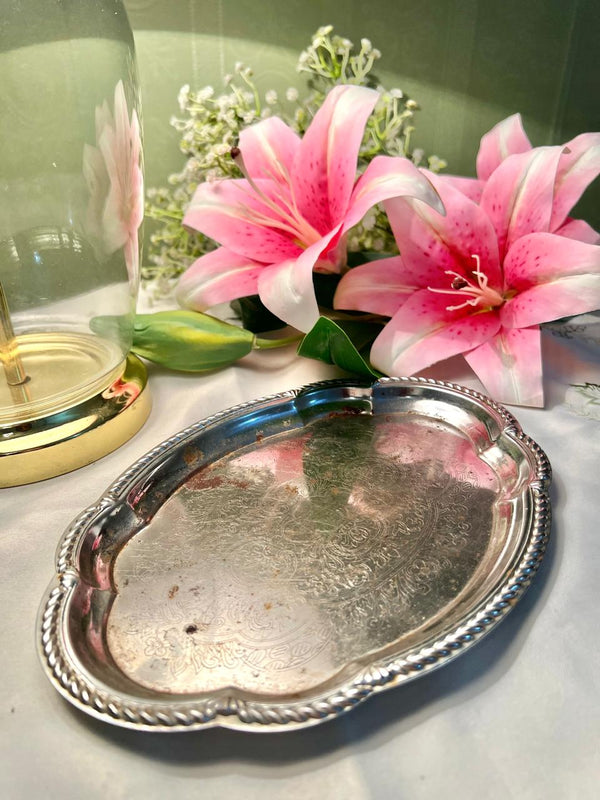 Queen Anne Silver Plated Oval Serving Tray with Rope Border 9 in