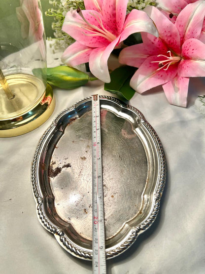 Queen Anne Silver Plated Oval Serving Tray with Rope Border 9 in