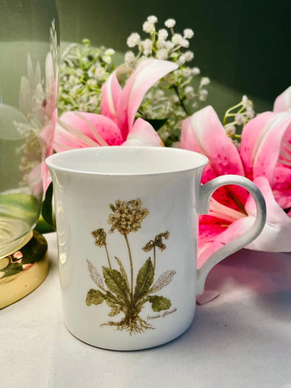 Crown Trent Fine Bone China Botanical Mug – 1 Piece