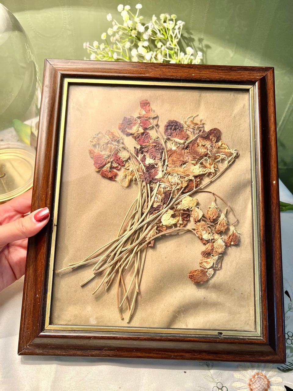 Framed Dried Floral Artwork in Wood Frame – Approx. 11.5 Inch