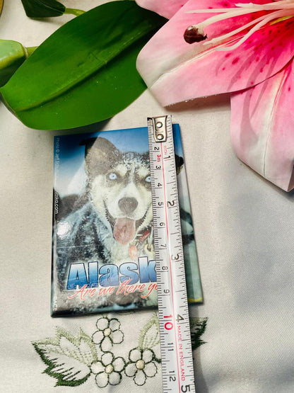 Alaska Dog Scenic Souvenir magnet Approx. 10 cm