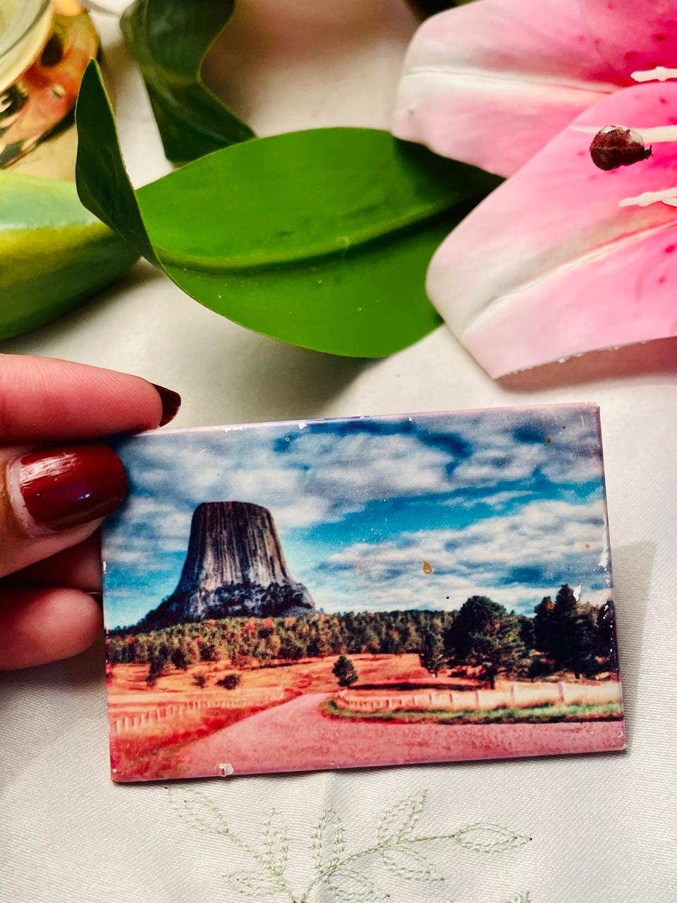 Devils Tower Scenic Souvenir Magnet Approx. 9 cm