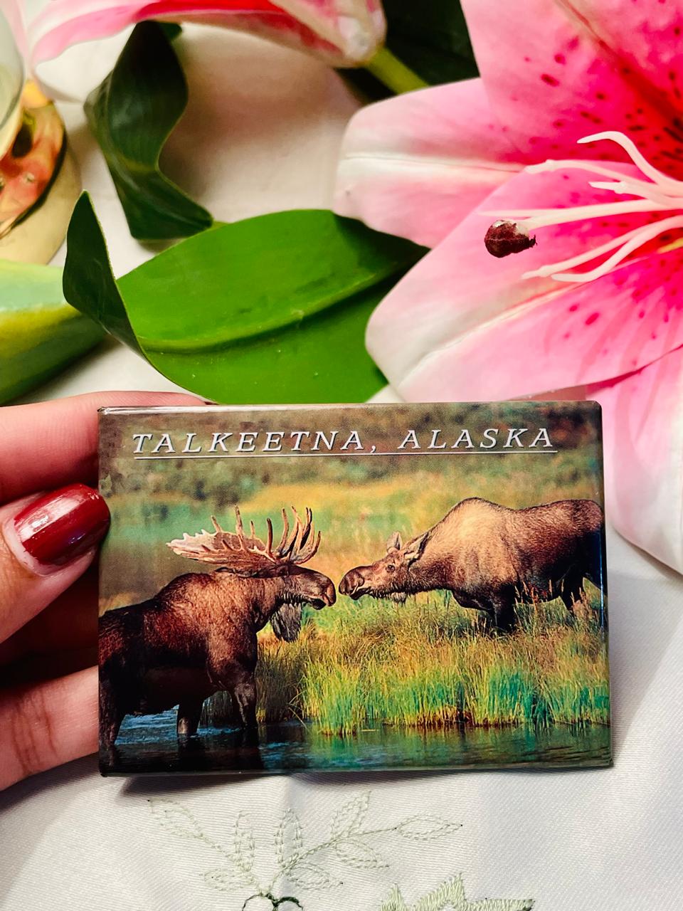 Talkeetna Alaska Moose Souvenir Magnet Approx. 9 cm