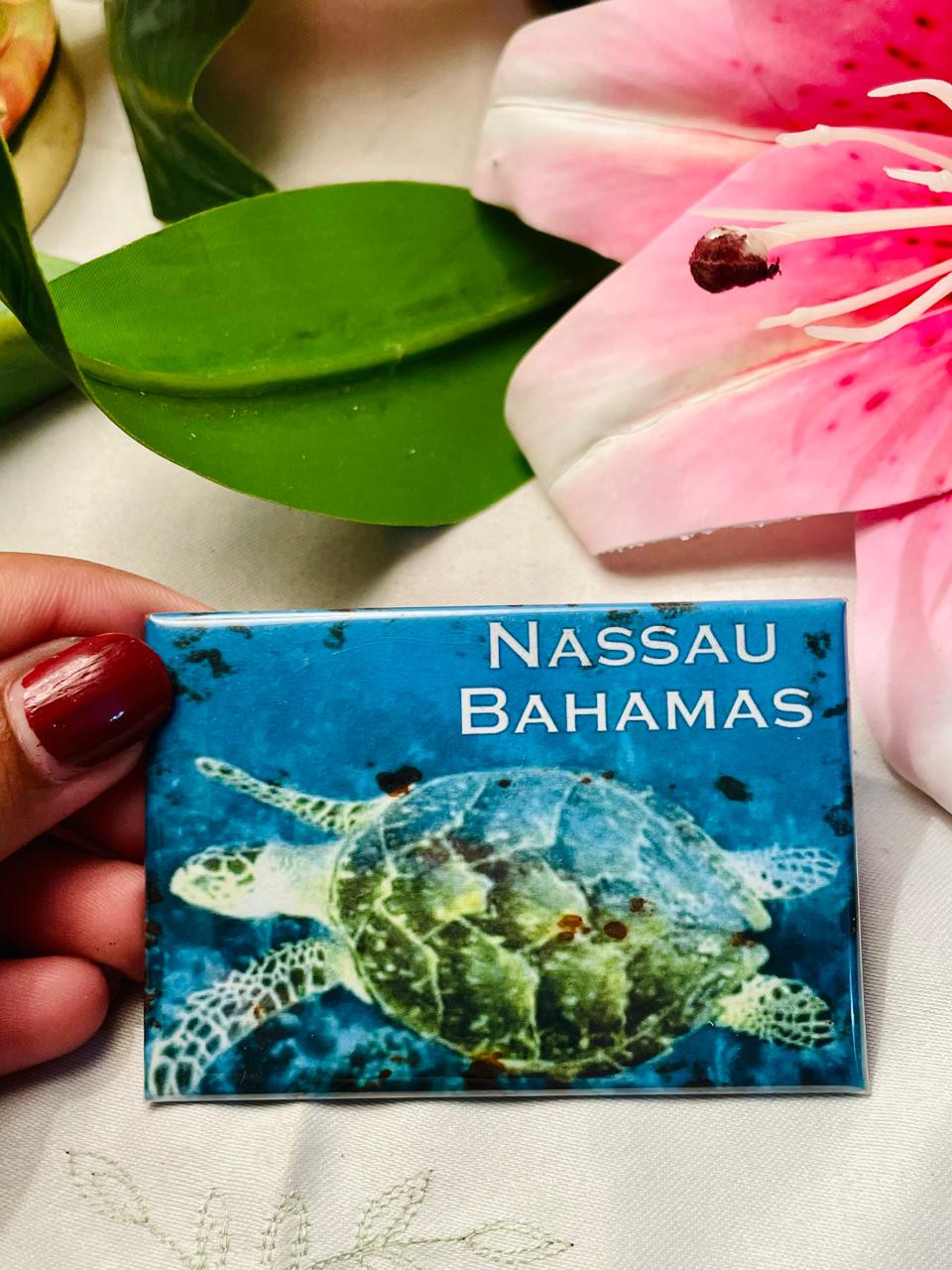 Nassau Bahamas Scenic Souvenir Magnet Approx. 9 cm
