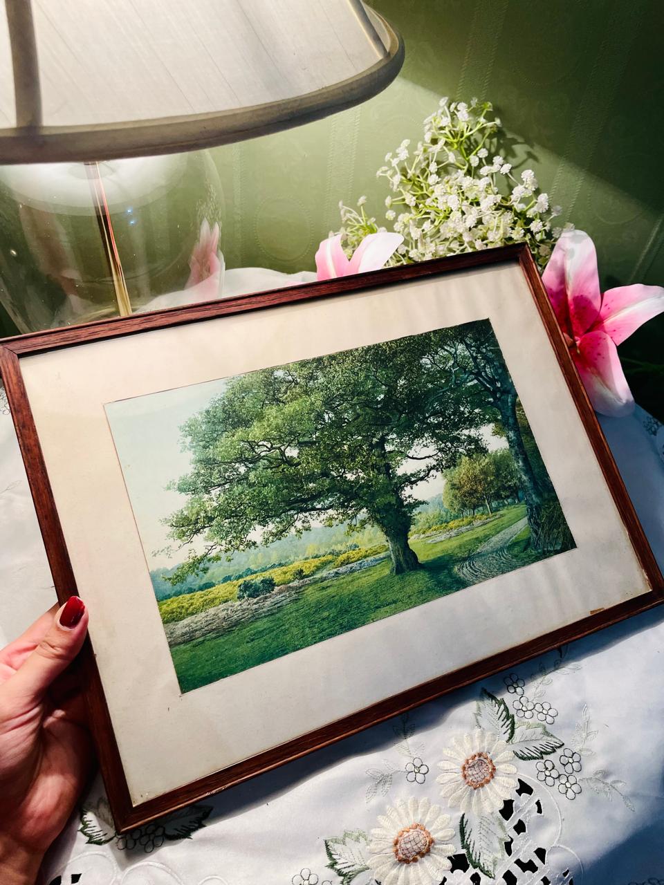 Framed Oak Tree or Meadow Panoramic Countryside Landscape Painting Russian Richard Bolton Approx. 38 cm