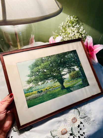 Framed Oak Tree or Meadow Panoramic Countryside Landscape Painting Russian Richard Bolton Approx. 38 cm
