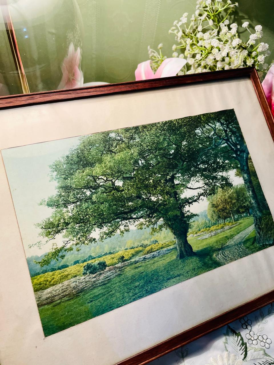 Framed Oak Tree or Meadow Panoramic Countryside Landscape Painting Russian Richard Bolton Approx. 38 cm