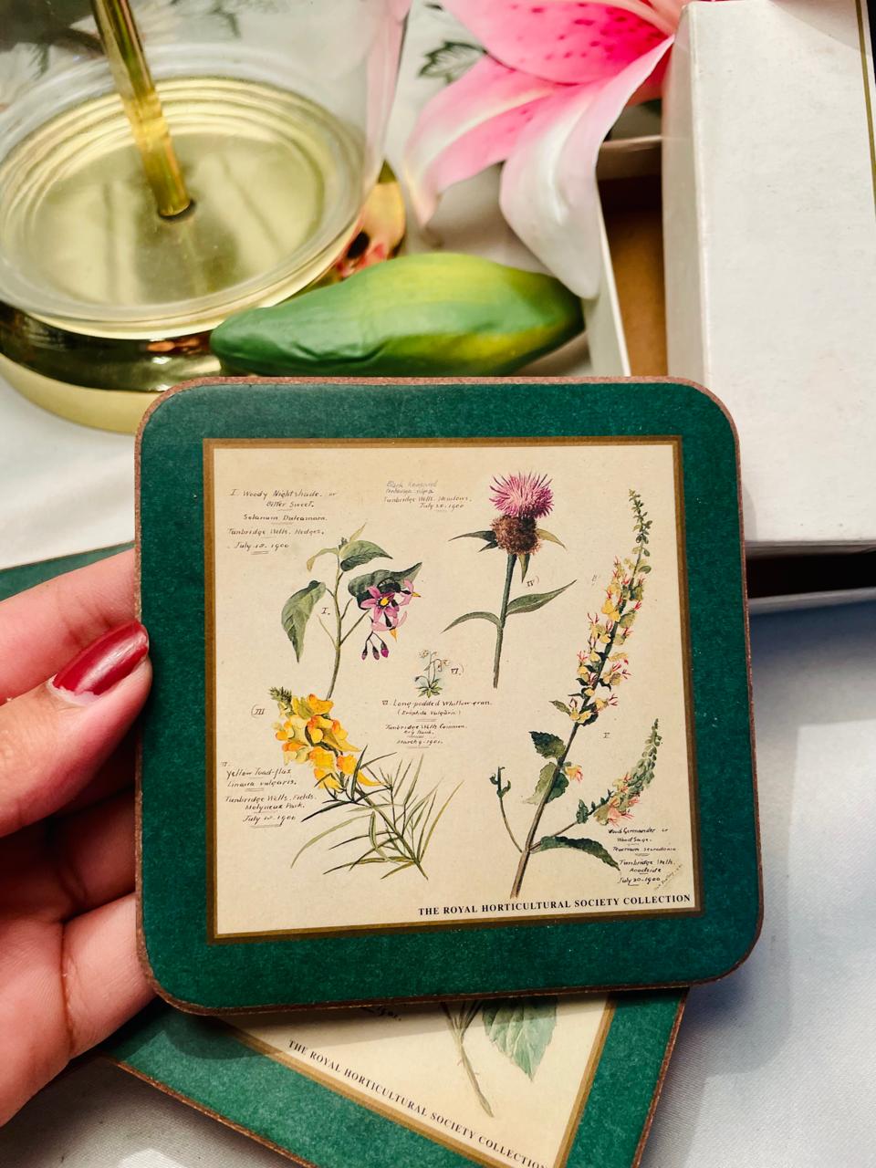 Pimpernel RHS Botanical Floral Coasters Set of 6 Approx. 10 cm