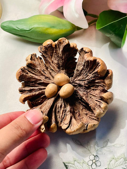 Rustic Pinecone & Seed Pod Decorative Ornament Approx. 10 cm