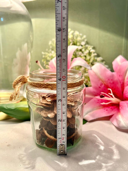 Clear Crystal Pinecone Decor Jar 4"