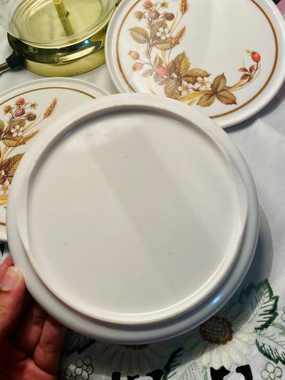 Vintage  Harvest M&S Marks & Spencer Melamine Spoon Rest Each Price Approx. 6.5 in