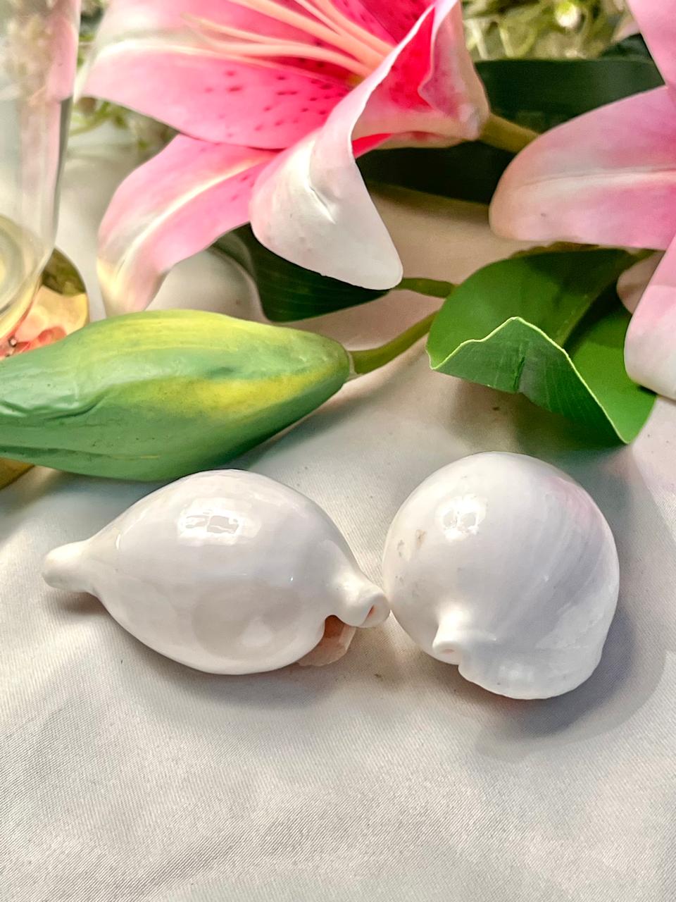 Vintage White Shell Figurines Set of 2, Approx. 2.5 in