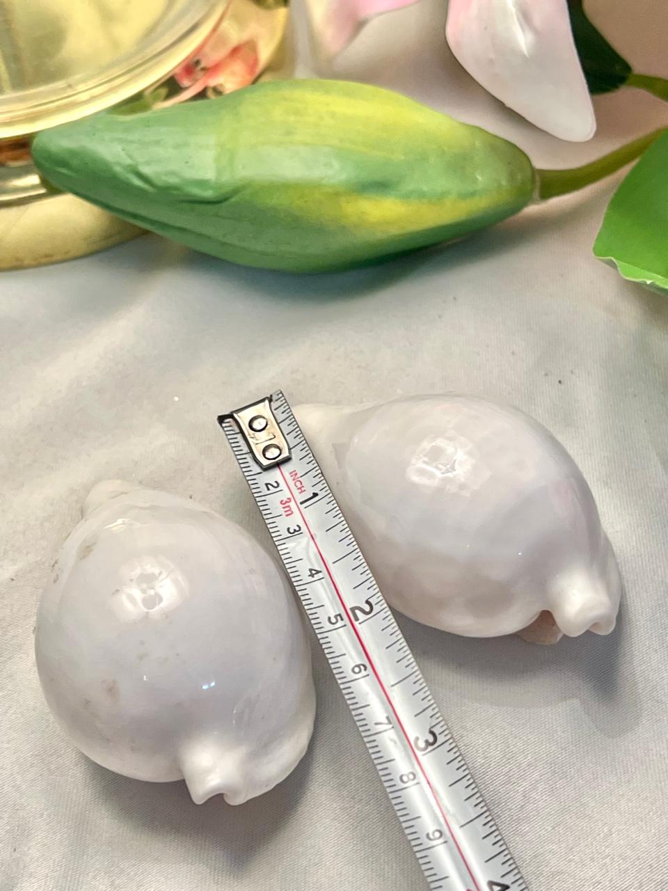 Vintage White Shell Figurines Set of 2, Approx. 2.5 in
