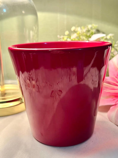Red Glossy Planter Pot 6 Inch