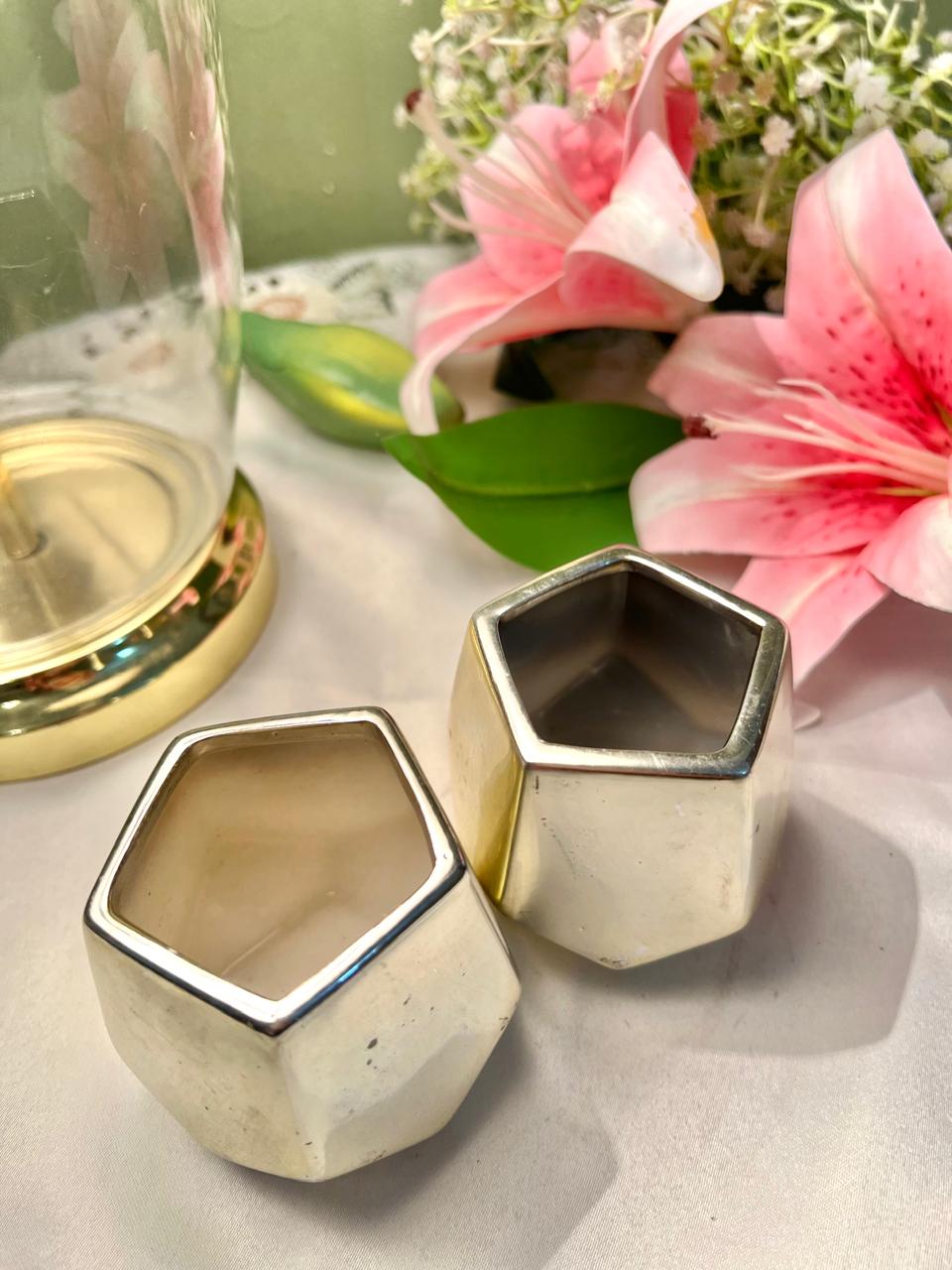 Silver-Tone Geometric Decorative Planter Holders 2-Piece Set
