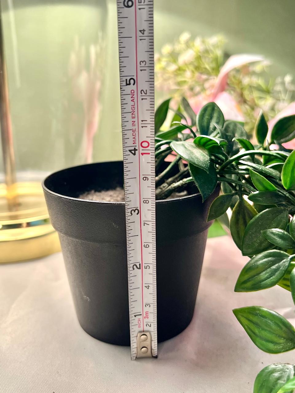 Faux Trailing Green Plant in Black Planter, Approx. 12 in