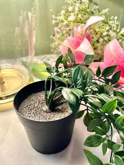 Faux Trailing Green Plant in Black Planter, Approx. 12 in